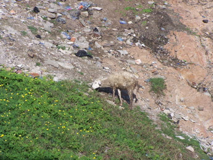 Plastikmuell_Ghana_2