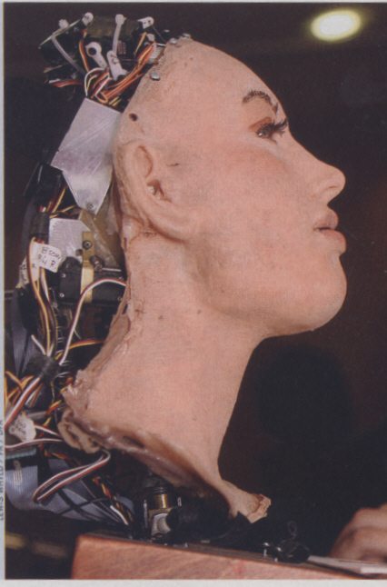 Robotterkopf mit Verdrahtung