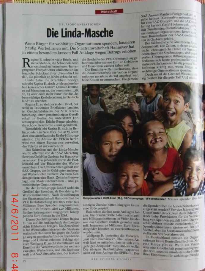 Spiegelartikel zu SAZ 1 klein