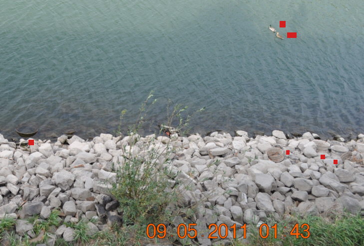 Umweltfrevel Zwei Enten warfen alle Rder ins Wasser