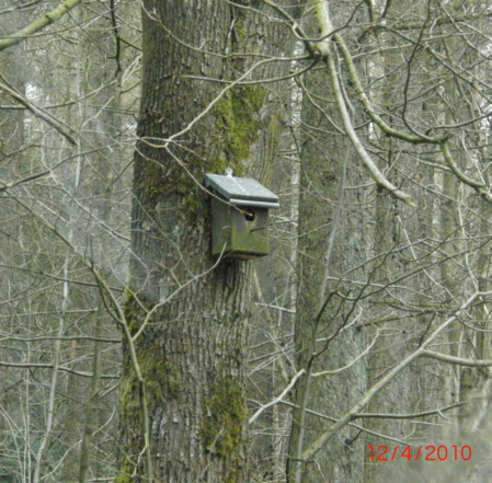 Vogelhuschen vom NabuB