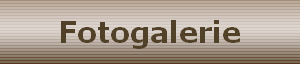 Fotogalerie