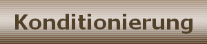 Konditionierung