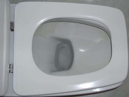 dreckige-toilette