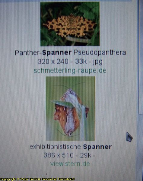 exhibitionistischer Spanner